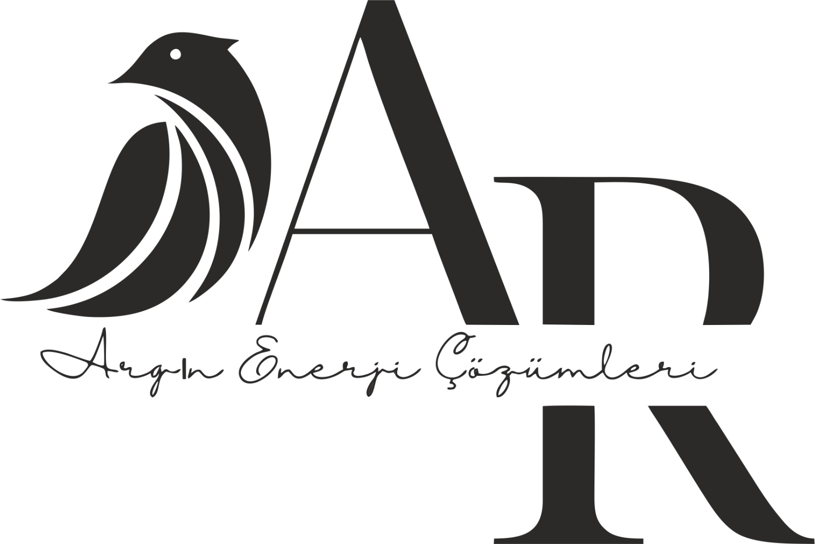 ARGIN ENERJİ MÜHENDİSLİK UYGULAMA VE DEPOLAMA SİSTEMLERİ SANAYİ TİCARET LİMİTED ŞİRKETİ